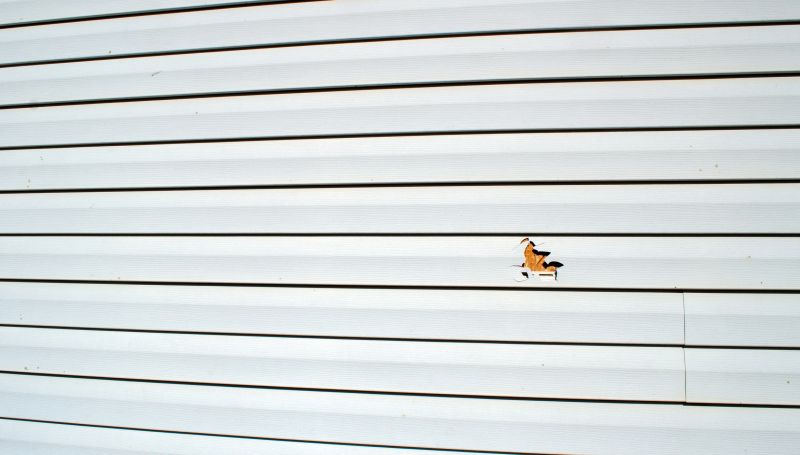 Siding Repair and Replacement